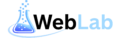 WebLab- best website designer in Mathura