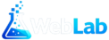 WebLab- best website designer in Mathura